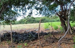 Aldea de Pavana, Choluteca, Choluteca., Choluteca, Choluteca, Choluteca, Choluteca