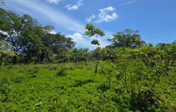 South Shore Back Road, Utila, Islas de la Bahia