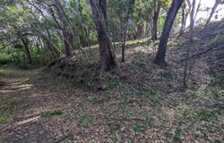 Parrot tree Lot 68, Roatan, Roatan, Islas de la bahía, Roatan, Islas de la bahía