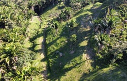 Santos Guardiola, Falcon Valley Lot#11, Roatan, Roatan, Islas de la bahía, Roatan, Islas de la bahía