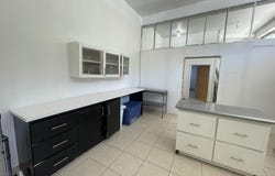 Gibson Bight, Bonanza Vet Clinic, Roatan, Roatan, Islas de la bahía, Roatan, Islas de la bahía