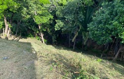 West End, Roatan, Islas de la bahía, Roatan, Islas de la bahía
