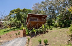Mariposa, Santos Guardiola, Roatan, Islas de la Bahia
