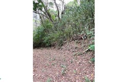 Macaw Hill lot 4 s/n, Roatán, Islas de la Bahía, Roatan, Islas de la Bahía 34101