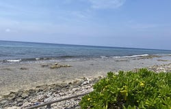 Dolphin Run, Utila, Islas de la Bahia