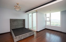 Igvana TaraBlvd Los Alamos, San Pedro Sula, San Pedro Sula, Cortes, San Pedro Sula, Cortes