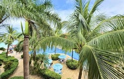 305, Roatan, Islas de la Bahia
