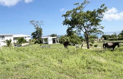Pangea Estates lot 13 s/n, Roatán, Islas de la Bahía, Roatan, Islas de la Bahía 34101