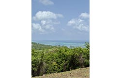 Milton, Roatan, Islas de la Bahia