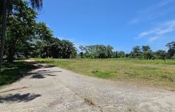 Res Mango Tree, Granadita Sambo Creek, La Ceiba, Atlantida, La Ceiba, Atlantida