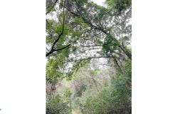 Macaw Hill lot 4 s/n, Roatán, Islas de la Bahía, Roatan, Islas de la Bahía 34101