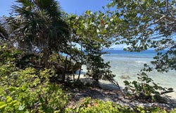 Tropical Privacy South Shore, Utila, Islas de la Bahia