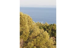 Gradac, Splitsko-dalmatinska
