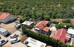 Poličnik, Zadarsko-kninska