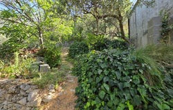 Tučepi, Split-Dalmatia County 21325