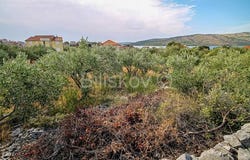 Trogir, Splitsko-dalmatinska 21218