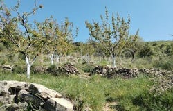 Omiš, Splitsko-dalmatinska 21252