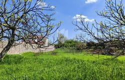 Barban, Istarska