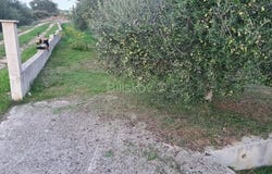 Zadar, Zadarsko-kninska 23231