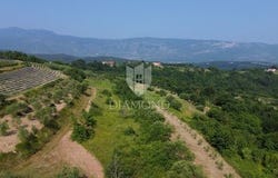 Pićan, Istarska