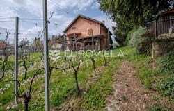 Varazdin, Varazdinska