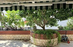 Okrug, Zagrebacka 21223