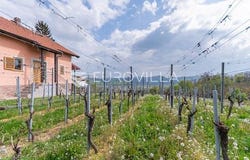 Varazdin, Varazdinska