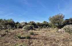 Brac, Splitsko-dalmatinska