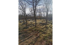 Krk, Primorsko-goranska