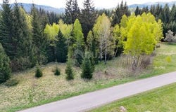 Ravna Gora, Primorsko-goranska