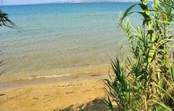 Zadar, Zadarsko-kninska
