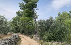 Supetar, Splitsko-dalmatinska 21400