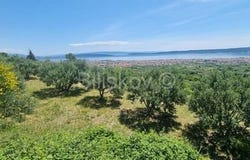 Kastel Luksic, Splitsko-dalmatinska 21216