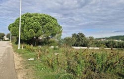 Bibinje, Zadarsko-kninska