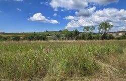 Vižinada, Istarska