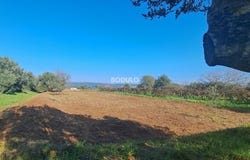 Dobropoljana, Zadarsko-kninska