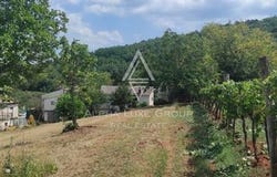 Motovun, Istarska