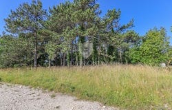 Žminj, Istarska
