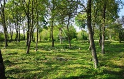 Tinjan, Istarska