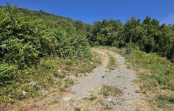 Mošćenička Draga, Primorsko-goranska