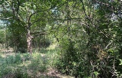 Pićan, Istarska