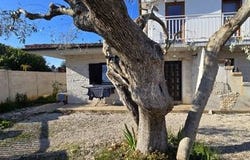 Umag, Istarska