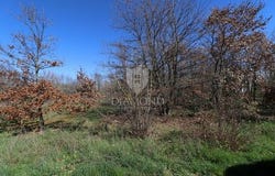 Marčana, Istarska