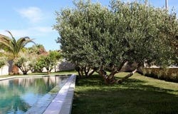 Hvar, Splitsko-dalmatinska