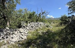 Zadar, Zadarsko-kninska