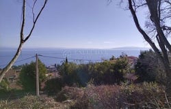 Opatija, Primorsko-goranska
