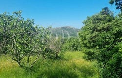 Vinodolska Općina, Primorsko-goranska
