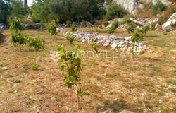 Makarska, Splitsko-dalmatinska