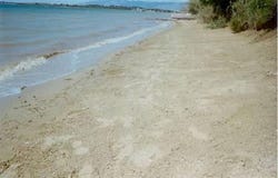 Zadar, Zadarsko-kninska