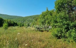 Prapatnica, Splitsko-dalmatinska